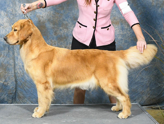 Prism's Caribbean Girl Power JH WC CCA